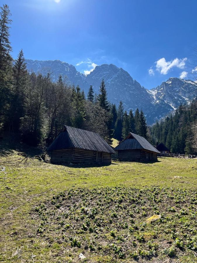 Kasprusie 10 By Homeprime Zakopane Exterior foto